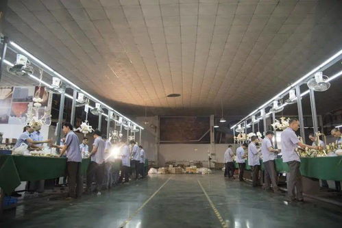 光影新境，幸福為燈 艾摩燈3.0極簡(jiǎn)輕奢展廳與大師設(shè)計(jì)的共鳴